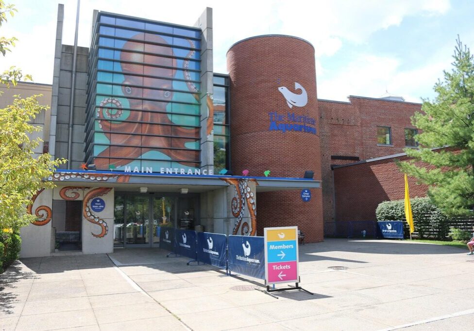 the-maritime-aquarium-at-norwalk-01