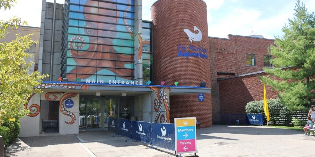 Tedom Cogeneration Rigging, Norwalk Connecticut, Maritime Center